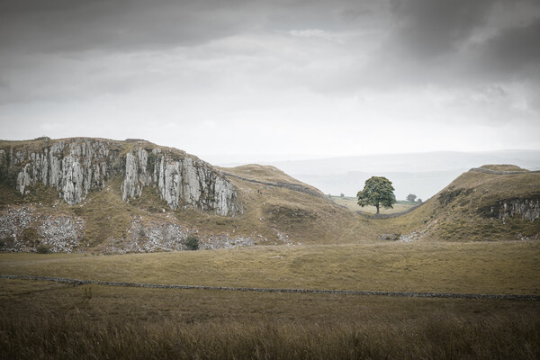 Sycamore Gap and Whin Sill Picture Board by Mark Jones