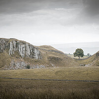 Buy canvas prints of Sycamore Gap and Whin Sill by Mark Jones