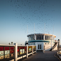 Buy canvas prints of Starlings Over Worthing Pier by Mark Jones