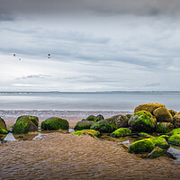 Buy canvas prints of On Alnmouth Beach by Mark Jones