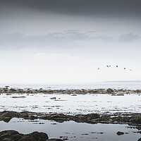 Buy canvas prints of On Alnmouth Beach by Mark Jones