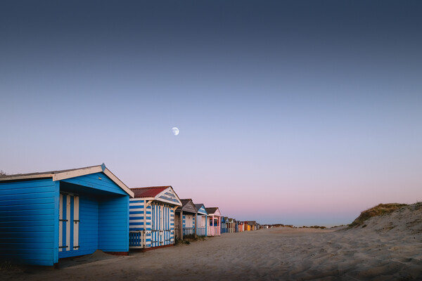 Beach Huts Sunset, West Wittering Picture Board by Mark Jones