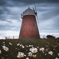 Buy canvas prints of Halnaker Windmill by Mark Jones
