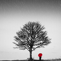Buy canvas prints of Red Umbrella by Mark Jones
