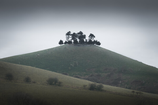 Enchanting Colmers Hill on Misty Day Picture Board by Mark Jones