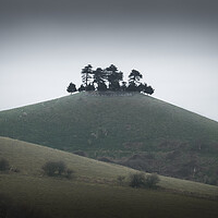 Buy canvas prints of Enchanting Colmers Hill on Misty Day by Mark Jones