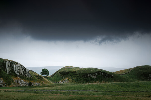 Sycamore Gap from the North Picture Board by Mark Jones