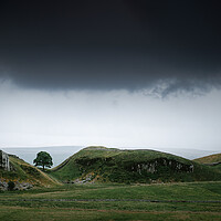 Buy canvas prints of Sycamore Gap from the North by Mark Jones