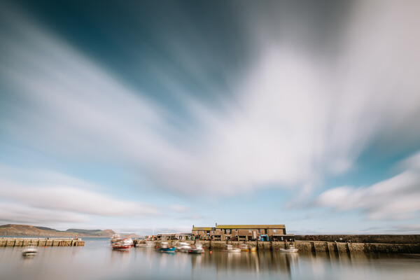 The Harbour, Lyme Regis Picture Board by Mark Jones