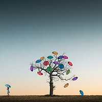 The Umbrella Tree