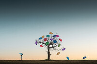 Click to show how this picture will look as a piece of wall art