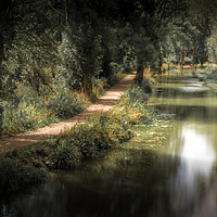 Buy canvas prints of The Tow Path by Mark Jones