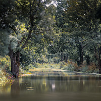 Buy canvas prints of Canal by Mark Jones