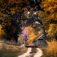 Buy canvas prints of Autumn Lane by Mark Jones