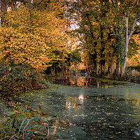 Buy canvas prints of Autumn on the Canal by Mark Jones