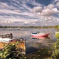 Buy canvas prints of Boats in Chichester Channel by Mark Jones