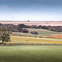Buy canvas prints of South Downs by Mark Jones