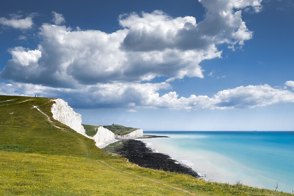 Seven Sisters and Belle Tout Picture Board by Mark Jones