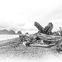 Buy canvas prints of Amazing La Push Beach in the Quileute Indian reservation by Erik Lattwein