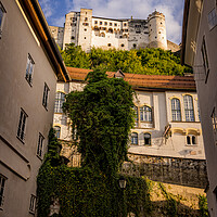 Buy canvas prints of Street view in the old town of Salzburg with a view to the fortress by Erik Lattwein