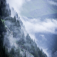 Buy canvas prints of Deep clouds over the fir trees in the Austrian Alps - Vorarlberg region by Erik Lattwein