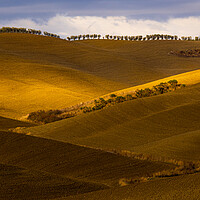 Buy canvas prints of Typical view in Tuscany - the colorful rural fields and hills by Erik Lattwein