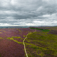Buy canvas prints of Peak District National Park - panoramic view over the heather fields by Erik Lattwein