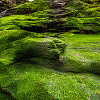 Buy canvas prints of Beautiful waterfall over mossy stones in the Cove  by Erik Lattwein