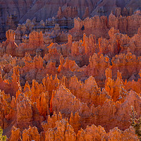 Buy canvas prints of Most beautiful places on Earth - Bryce Canyon Nati by Erik Lattwein