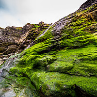 Buy canvas prints of Beautiful waterfall over mossy stones in the Cove  by Erik Lattwein