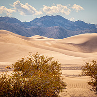 Buy canvas prints of Big Sand Dunes in the desert of Nevada by Erik Lattwein