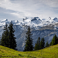 Buy canvas prints of Wonderful panoramic view over the Swiss Alps - view from Schynige Platte Mountain by Erik Lattwein