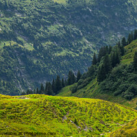 Buy canvas prints of Amazing nature of Switzerland in the Swiss Alps by Erik Lattwein