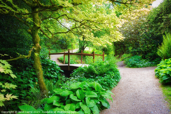 Powerscourt Gardens, Ireland - 9 Picture Board by Jordi Carrio