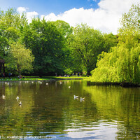 Buy canvas prints of Lake of St Stephen's Green by Jordi Carrio