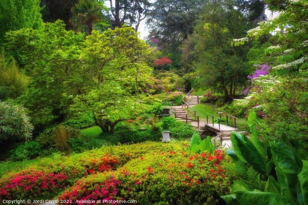 Powerscourt Gardens, Ireland - 15 Picture Board by Jordi Carrio