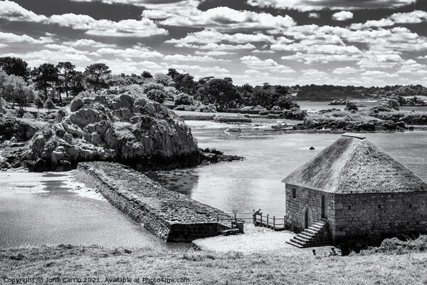 Reflections of Berde Island - C1506-2164-BW Picture Board by Jordi Carrio