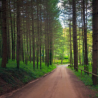 Buy canvas prints of Path through the pine forest - Orton glow Edition  by Jordi Carrio