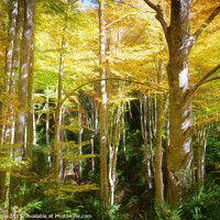 Buy canvas prints of Majestic Beech Forest in Autumn - C1510-3374-PIN-R by Jordi Carrio