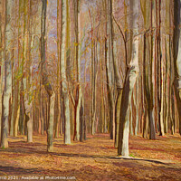 Buy canvas prints of Autumn Symphony - CR2112-6423-PIN by Jordi Carrio