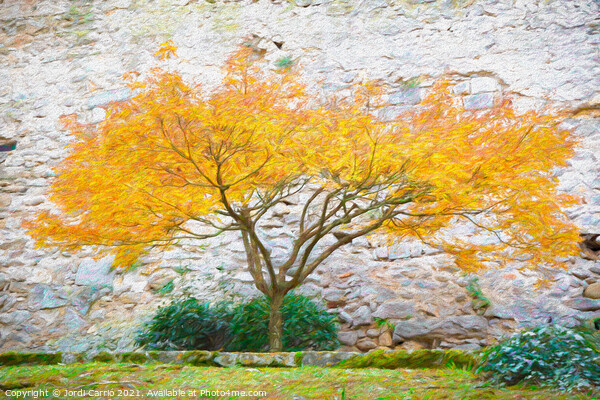 Autumnal Majesty - CR2112-6439-PIN Picture Board by Jordi Carrio