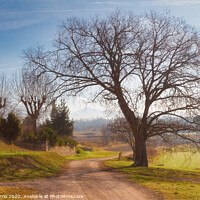 Buy canvas prints of Rural road in winter - C1512-4042-GRACOL by Jordi Carrio