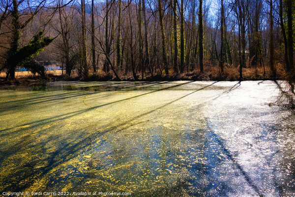 La Moixina wetlands in winter, La Garrotxa - 4 - Picture Board by Jordi Carrio