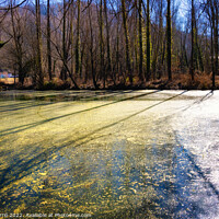 Buy canvas prints of La Moixina wetlands in winter, La Garrotxa - 4 - by Jordi Carrio