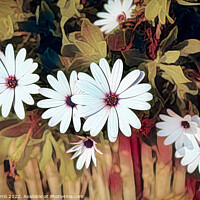 Buy canvas prints of Brushstrokes of daisies - C1606-6226-ABS by Jordi Carrio