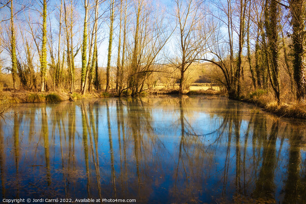 La Moixina wetlands in winter, La Garrotxa - 2 - Picture Board by Jordi Carrio