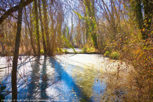 La Moixina wetlands in winter, La Garrotxa - 1 - Picture Board by Jordi Carrio