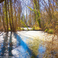 Buy canvas prints of La Moixina wetlands in winter, La Garrotxa - 1 - by Jordi Carrio