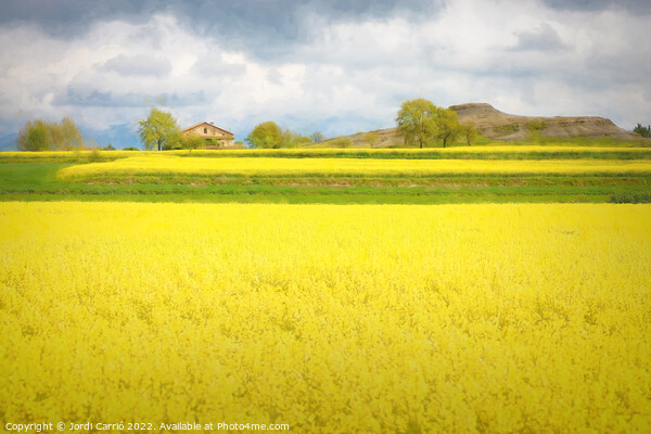 Yellow Fields of Malla - CR2105-5277-PIN Picture Board by Jordi Carrio