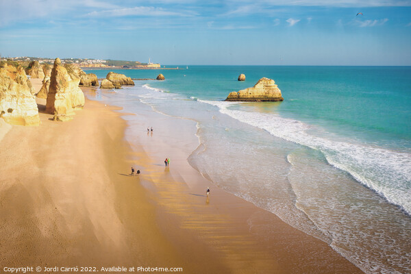 Beaches and cliffs of Praia Rocha, Algarve - 2 - Picturesque Edi Picture Board by Jordi Carrio